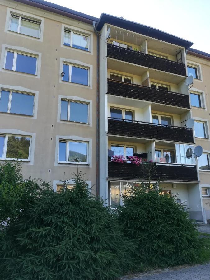 Apartmán 21 Apartamento Loučná nad Desnou Exterior foto